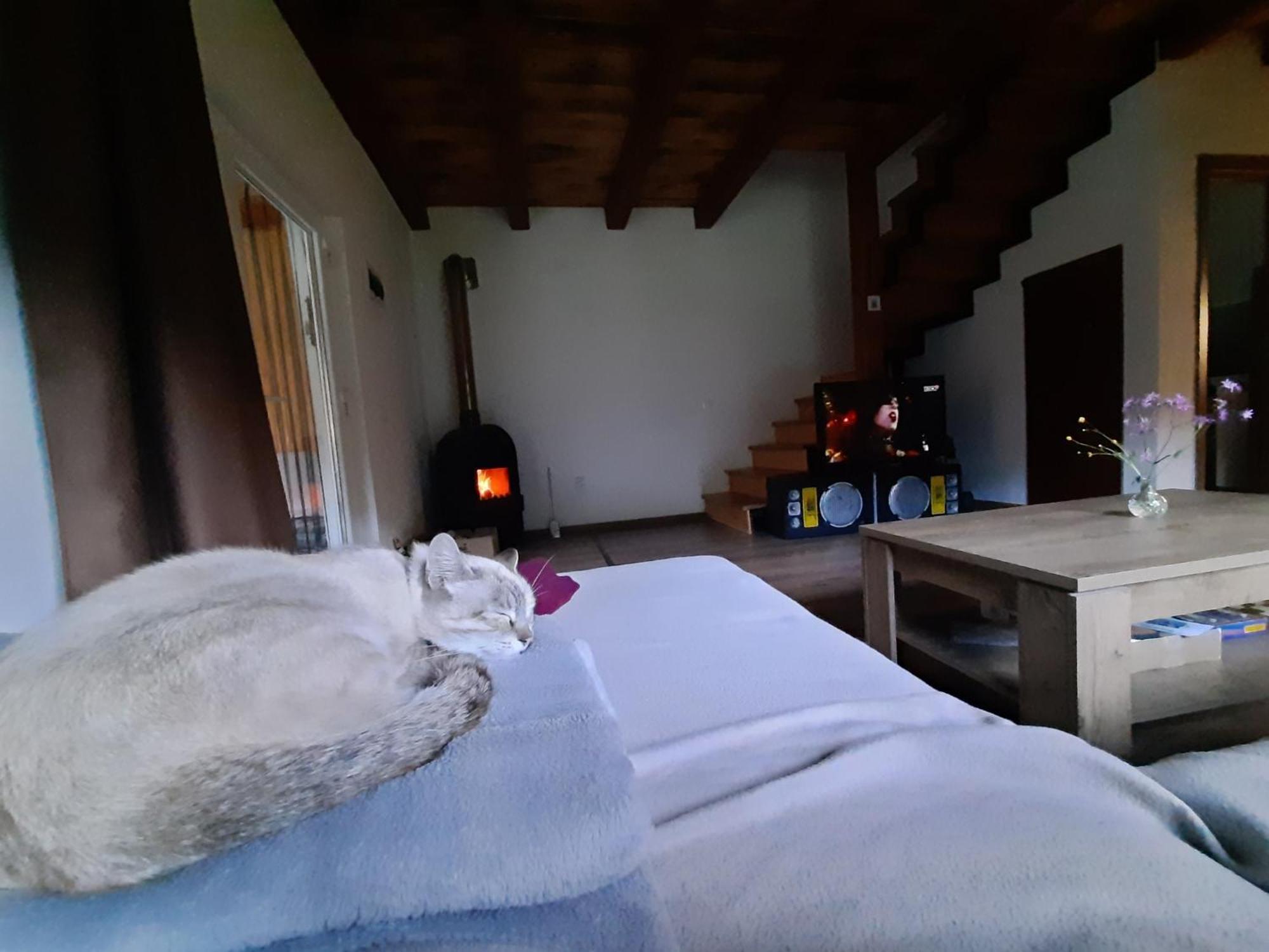 Mountain Cozy Home Sub Cetate Esterno foto